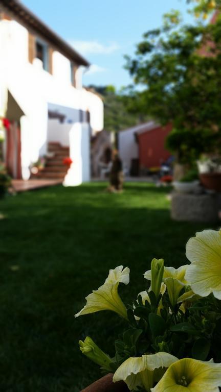 L'Ogliera Appartamenti Dell'Aia Pomonte Εξωτερικό φωτογραφία